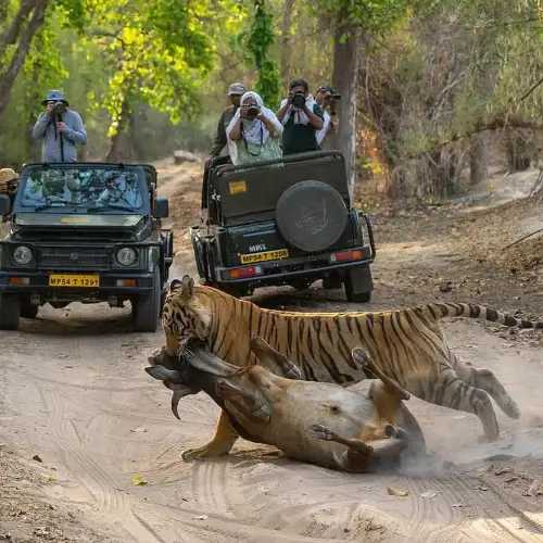 Rajasthan 8 Days Tour Packages Rajasthan 8 Days Tour Packages