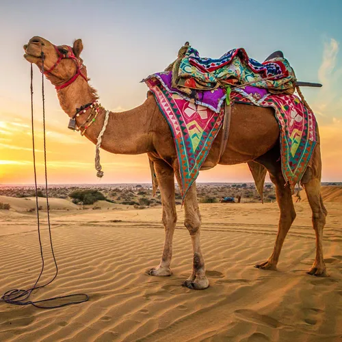 Jaisalmer Tour Packages Jaisalmer Tour Packages