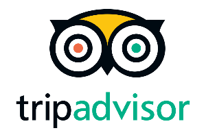 trip advisor rts